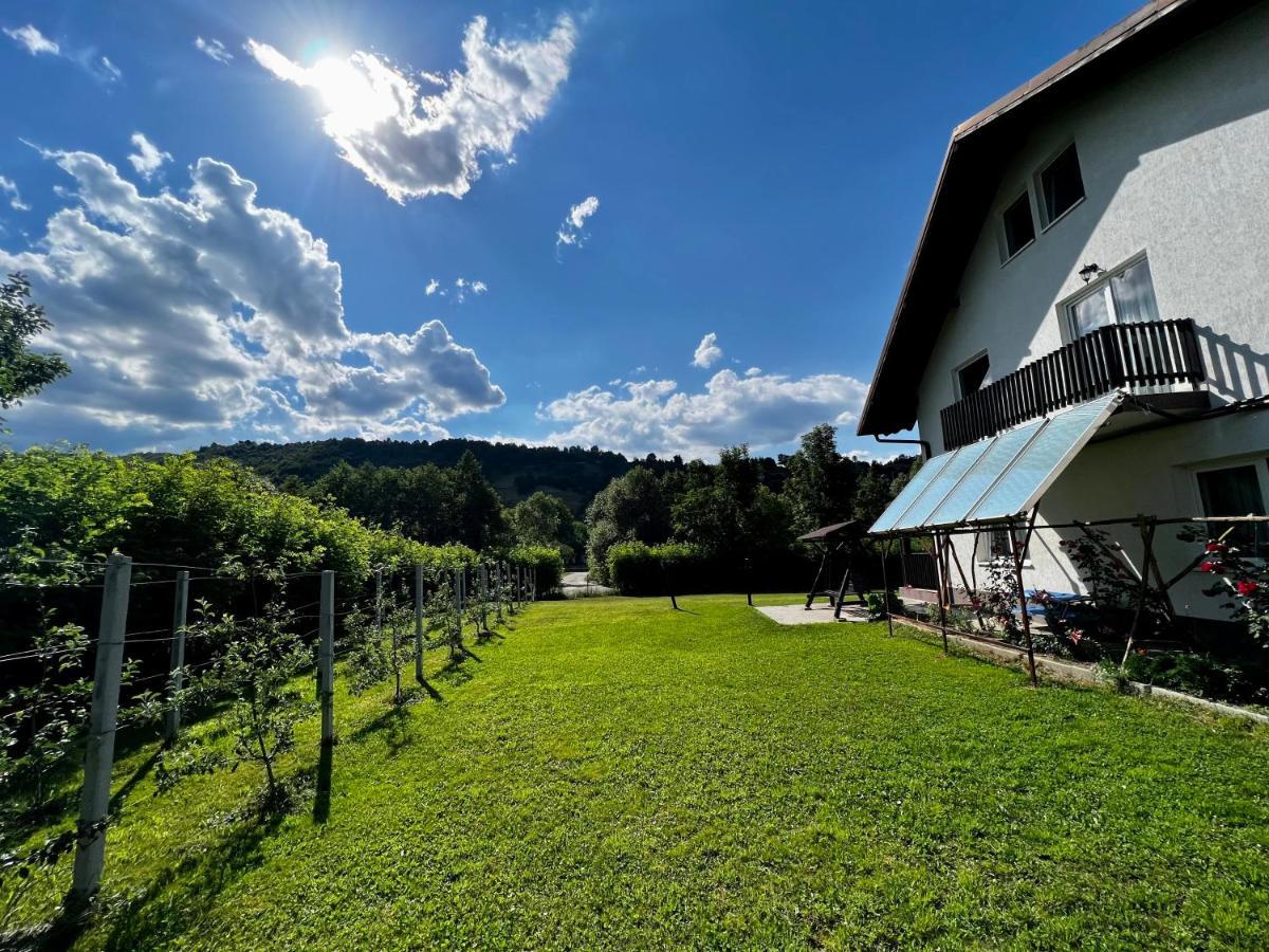 Holiday home Casa Cu Salcami *