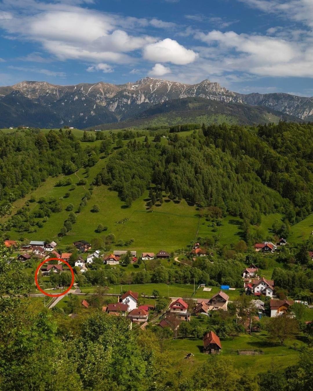 Casa Cu Salcami Holiday home *